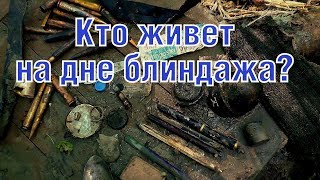 Раскопки немецких блиндажей, еле утащили. German dugouts excavations, heavy finds