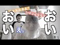 良い子は絶対に真似しないでください
