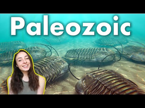 Paleozoic Era- geologic and biological evolution & the greatest mass extinction ever | GEO GIRL