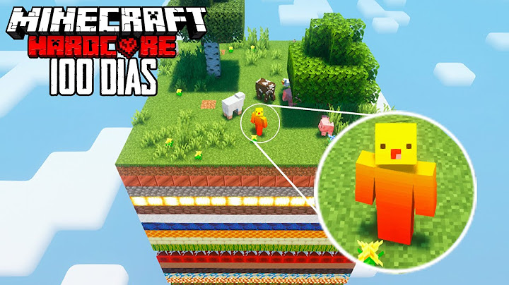 SOBREVIVÍ 100 DÍAS en UN CHUNK Pero Cada Capa Es Diferente