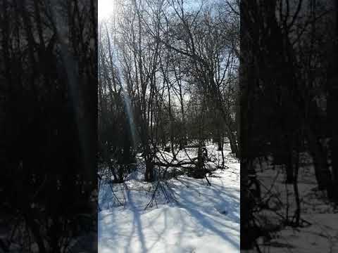 АНЕКДОТ. МЕЧТА.