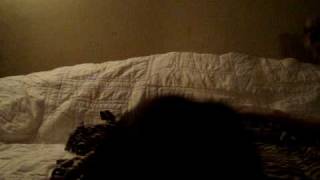 Bahahahahhahahahahahahahahahahaha