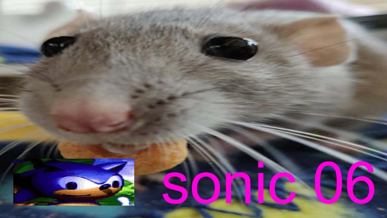 rat 06 featuring sanic_bum (sonic 06 stream highlights)