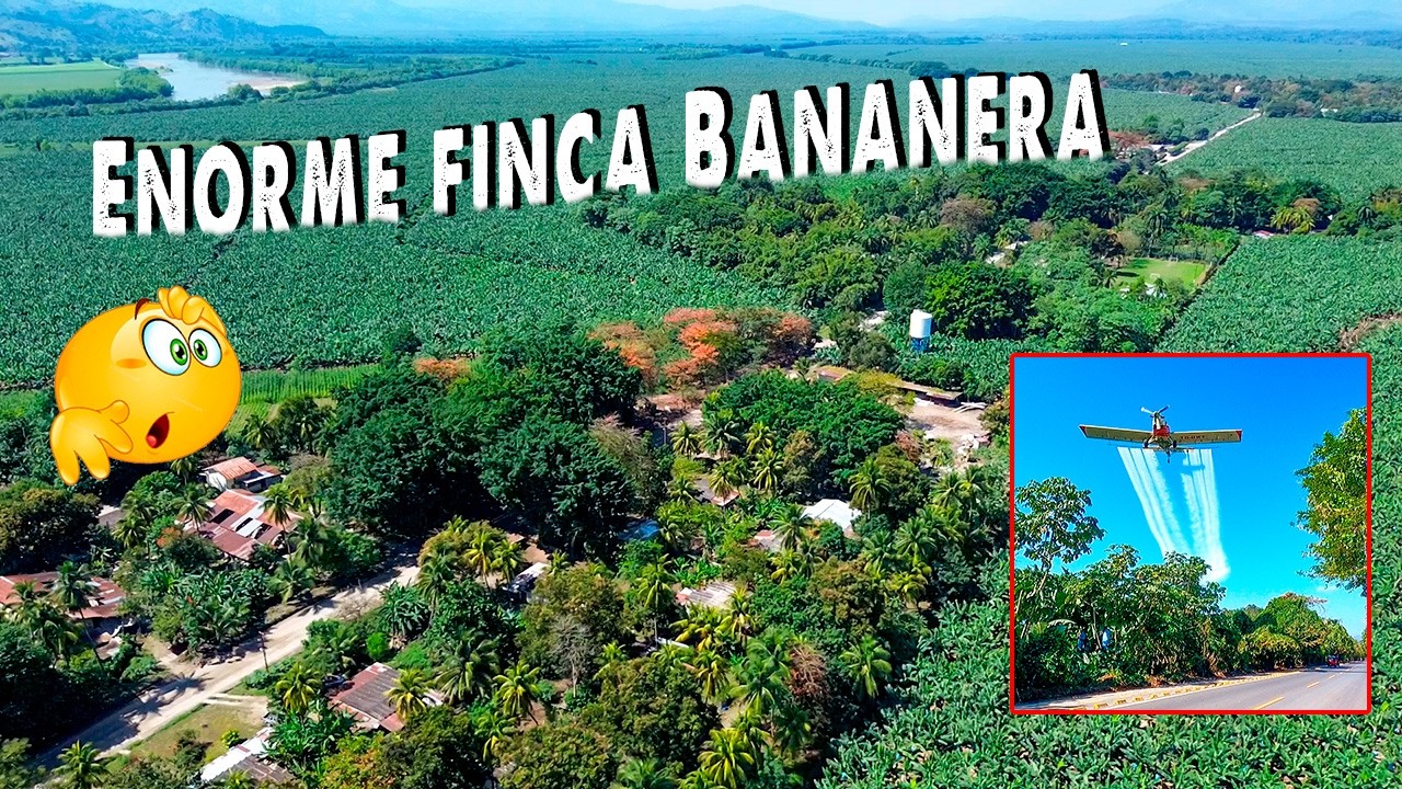 Un dia por LAS FINCAS mas Grandes en/Izabal Guatemala 2026