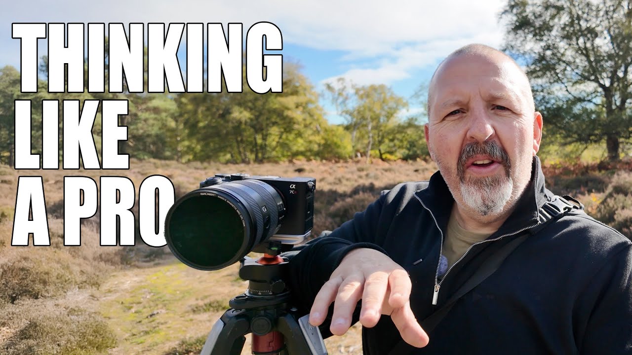 Изменение способа съемки леса: творческий эксперимент