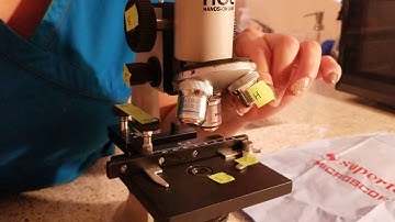 Microscopy for Microbiology: Use and Function