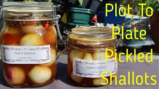 Pickled Shallots - A Harvest to Jar Journey