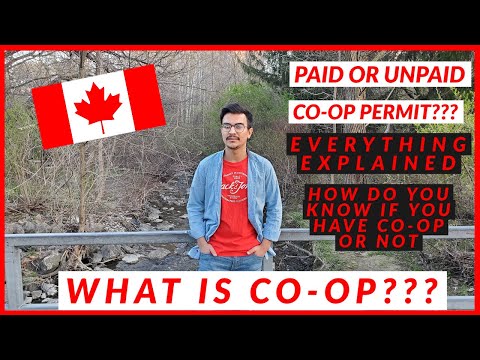 CO-OP EXPLAINED IN HINDI | IS IT EVEN USEFUL?