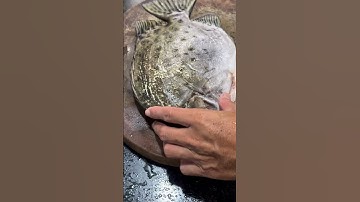 Nay Quân làm món cá nướng