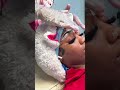 Eyebrow Maintenance Day ✨ Satisfying Process