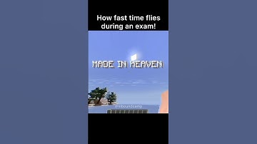 Made In Heaven Minecraft