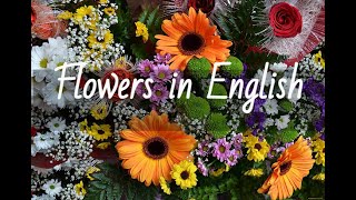 Learn flowers in English. Учим названия цветов на английском языке #flowers