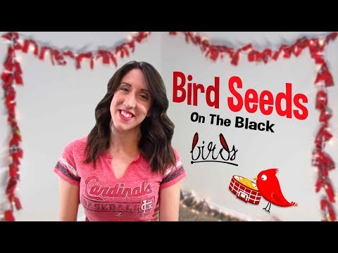 New Season, New Bird Seeds!