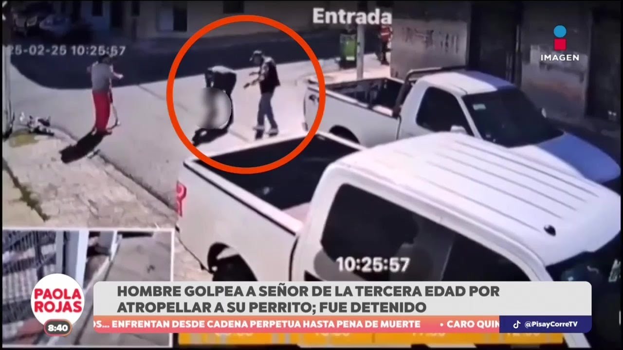 Hombre golpea a señor de la tercera edad por atropellar a su perrito ...
