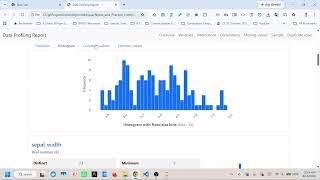 Tabular Data Analyzer with python tkinter, and fg-data-profiling