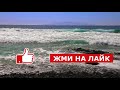 МАГИЧЕСКАЯ АТАКА ИЛИ ГЛЮК? Когда магия ни при чем. Сеанс регрессивного гипноза