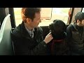 Dog Rides the Bus Solo