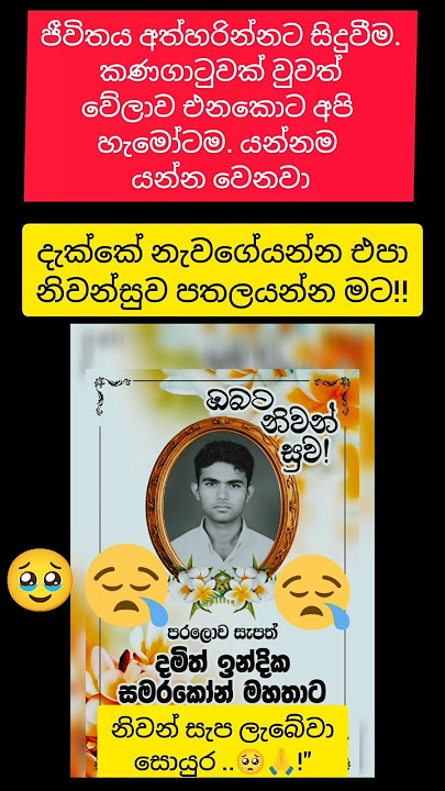 උබව අද ඉදන් මතකේ රැදුනු කෙනේක් විතරයි මචන්🥺නිවන් සුව පතනව කිසිම අත් මෙක මෙවන් අක්ල මරන නොවේවා කියලා🥺