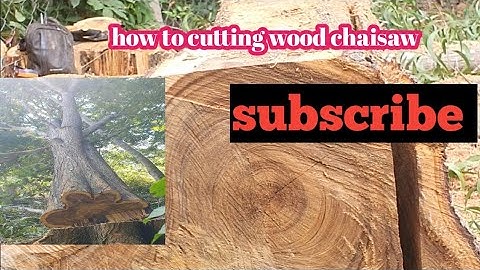 Climbing arborist removing a tree in a tight spot #video