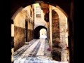 الشاعر حسين حمزة- يا حارتنا الختيارة