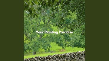 Background for Thoughtful Vibes