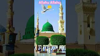 Dono jahaan maula❤🤲🤲#islamic status# short video# reel