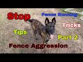 Fence Running & Fence Aggression Tips and Tricks: Part 2