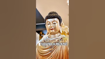🏮 Tượng Thích Ca Mâu Ni Đồng Sơn Men Cổ 🏮 #phápduyênshop  #tuongphat #nammobonsuthichcamauniphat
