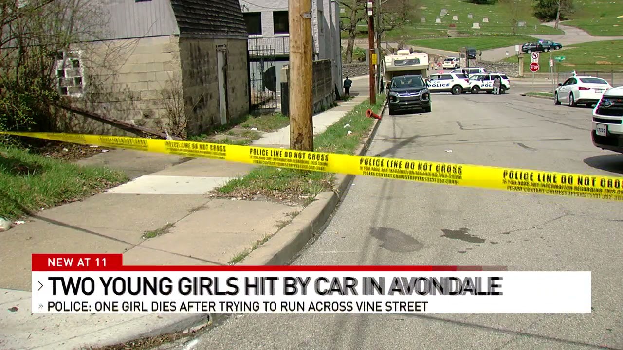 Police identify child killed after being struck by car in Avondale ...