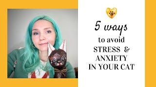 5 ways to avoid STRESS and ANXIETY in your CAT