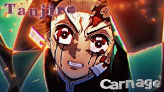Demon Slayer Tanjiro - Carnage Amvedit