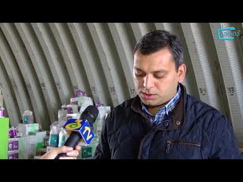 „Geo-Ukravit'' - უკრაინული პროდუქციის ეფექტი და მანდარინის დიდი მოსავალი დაბა ურეკში