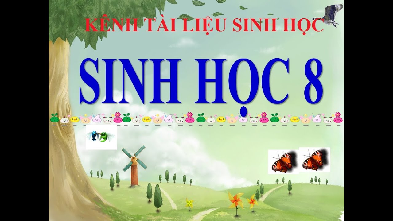 Sinh học 8 cơ quan sinh dục nam | Sinh học 8 bài 60 CƠ QUAN SINH DỤC NAM