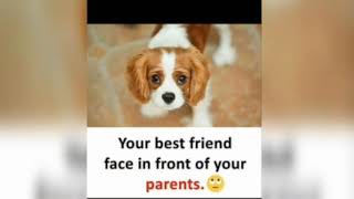 Funny Everyday Memes