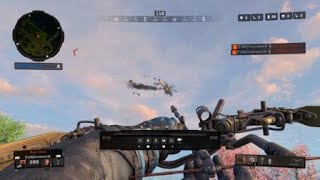 Call of Duty Blackout insane crossbow collateral kill