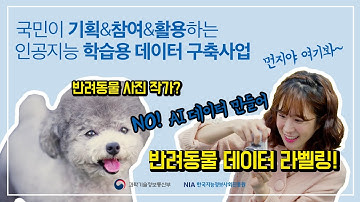 반려동물 사진작가인 줄 알았는데, 상상도 못한 반전!