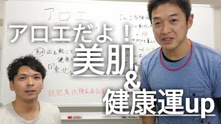 【アロエ】塗るだけでは意味がない？美肌のためのアロエの使い方&健康運が上がるアロエの花