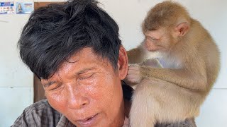 ASMR Monkey Grooming| Smart Zueii Like Focus Grooming And Catch Grandpa Lice