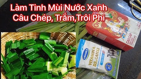 Cách Làm Tinh Mùi Nước Xanh Câu Chép , Trắm, Trôi ,Phi Dể Làm Rẻ Tiền  Hiệu  Qủa