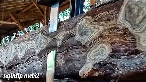 Jati TPK Serat Langka untuk Gazebo Mr. Gattuso. Kayu Besar Tekstur Keras Ekstra Hati-hati Digergaji.