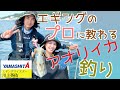 【釣りゲスト】YAMASHITAエギングマイスターの川上英佑さんにアオリイカ釣りを教わる！