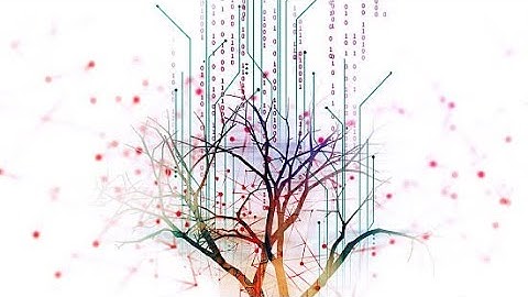 Full Binary Tree Data Structures and Algorithms implementation in the C++ programming language