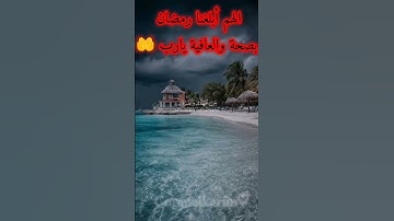 القرآن الكريم تلاوة عطرة محمد اللحيدان #المصحف