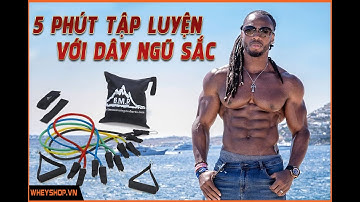 Cách tập với dây ngũ sắc, các bài tập với dây ngũ sắc - dây kháng lực hiệu quả nhất | WHEYSHOP.VN