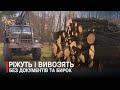 Ліс тане на очах куди дивляться лісгоспи Ліс тане на очах куди дивляться лісгоспи