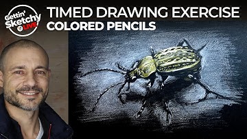 Drawing a Bug with Colored Pencils in 45 Minutes - Gettin