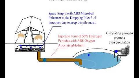 Hệ thống xử lý nước thải chăn nuôi heo - Môi trường ETM