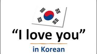 How to Say 'I LOVE YOU' in Korean