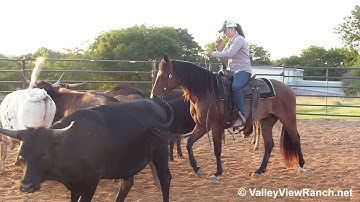 In A Tuff Pepto - working cows! - ValleyViewRanch.net