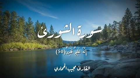 سورة الشورى بصوت القارئ مجيب الحمادي تلاوه هادئه و طمأنينه للنفس